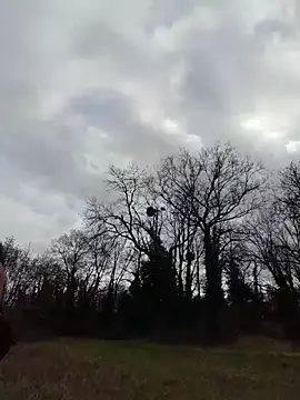 Snapshot of Sacha_Scorp chatting on 7, 2, 2026 Sacha Scorp online show from 7, 2, 2026