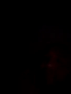 mikeeddy1517 online show from 17, 12, 2025