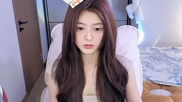 Koikoi    online show from 31, 3, 2026