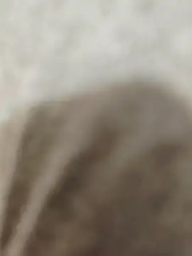 Indian groupxxx online show from 16, 12, 2025