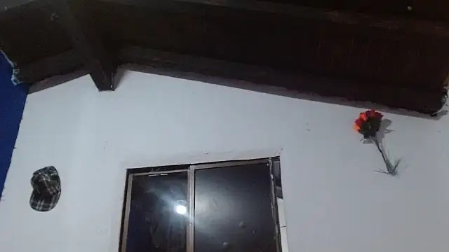 sk8-boy online show from 25, 5, 2026