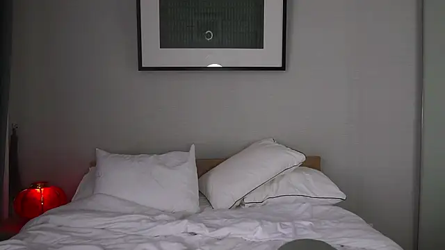 Snapshot of bonjour_nihao_hello chatting on 17, 2, 2026 bonjour nihao hello online show from 17, 2, 2026