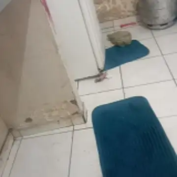 Snapshot of xxbucetudaxxx chatting on 20, 12, 2025 xxbucetudaxxx online show from 20, 12, 2025