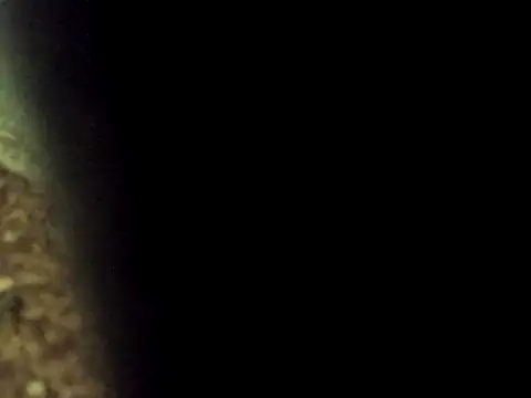 Maknithappen online show from 17, 3, 2026