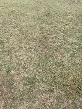 Snapshot of Tamilpaiyan07 chatting on 1, 2, 2026 Tamilpaiyan07 online show from 1, 2, 2026