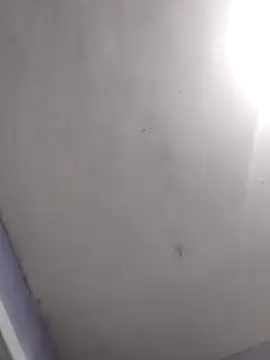 vanNe78 online show from 28, 2, 2026