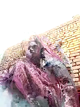 Rakhi cut online show from 12, 1, 2026