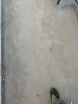 Tata and Joker online show from 24, 3, 2026