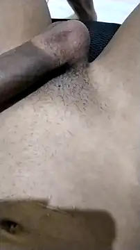 Novinhoie online show from 12, 4, 2026