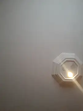 tutku01show online show from 18, 4, 2026