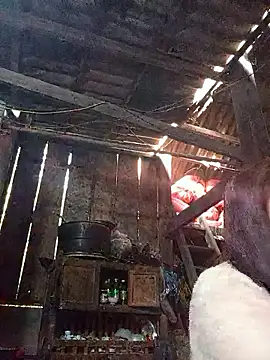 dakota-kis online show from 19, 1, 2026