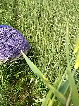 hornycouple20000 online show from 1, 2, 2026