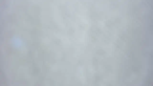 kiyoko yun online show from 3, 4, 2026