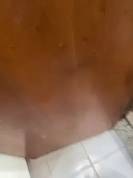 jeanramon01 online show from 20, 3, 2026