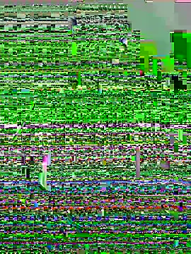 lzinho9153 online show from 16, 4, 2026