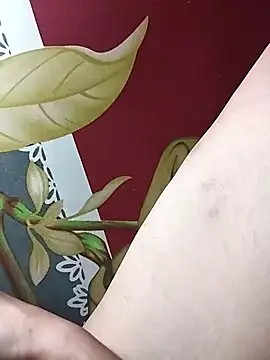 huuluat2 online show from 17, 1, 2026