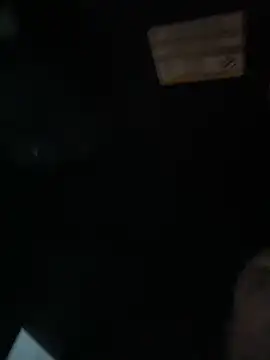 WIDBIGWHITECOCK online show from 10, 3, 2026