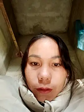 vanvan005 online show from 12, 1, 2026