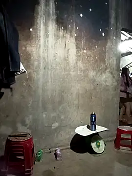 vanvan005 online show from 8, 3, 2026