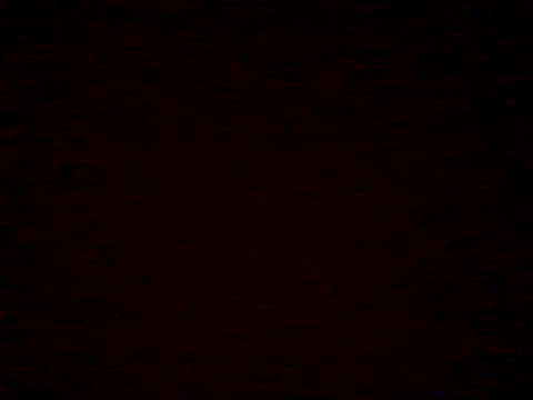  Daisy online show from 5, 4, 2026