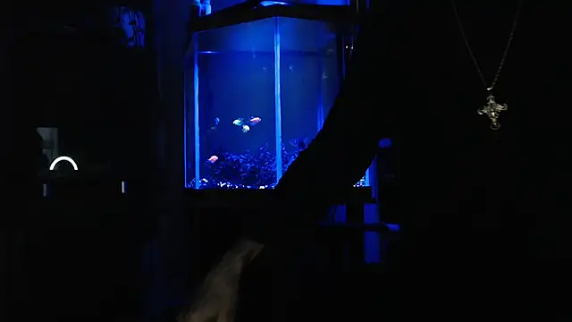 EspanolVato online show from 27, 5, 2026