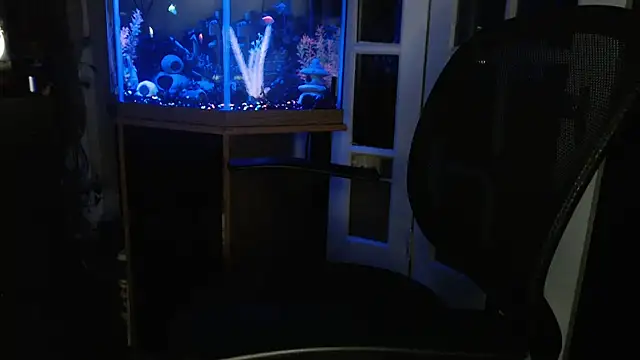 EspanolVato online show from 10, 6, 2026
