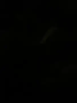 Herr Snusk online show from 1, 7, 2026
