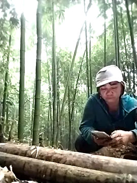 alycen online show from 15, 1, 2026