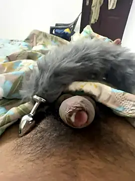 Indian slave dog online show from 18, 1, 2026