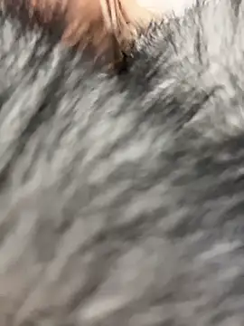 Snapshot of AshleyMur chatting on 13, 2, 2026 AshleyMur online show from 13, 2, 2026