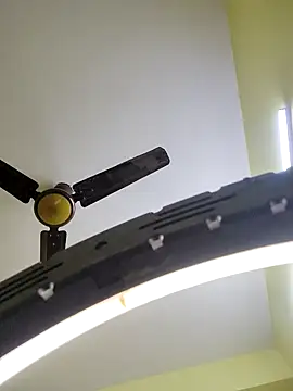 trinasa online show from 17, 3, 2026