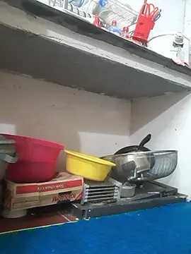 -Bunny-y online show from 14, 1, 2026