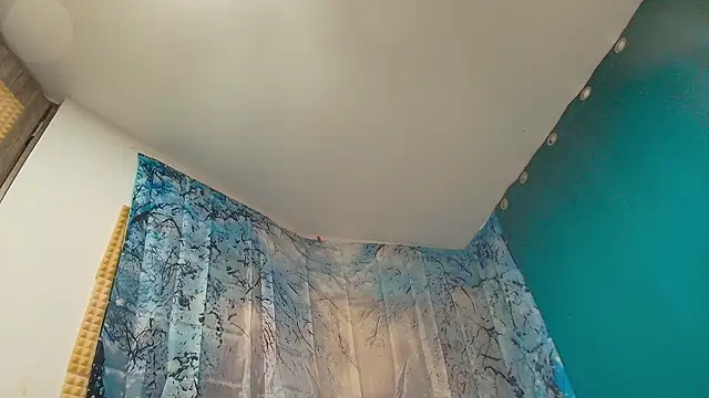 MSSPAOLA online show from 12, 2, 2026