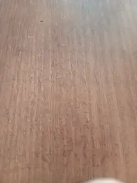 Kmali5465 online show from 11, 2, 2026