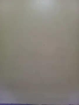 Snapshot of TRACYTOTO26 chatting on 23, 6, 2026 TRACYTOTO26 online show from 23, 6, 2026