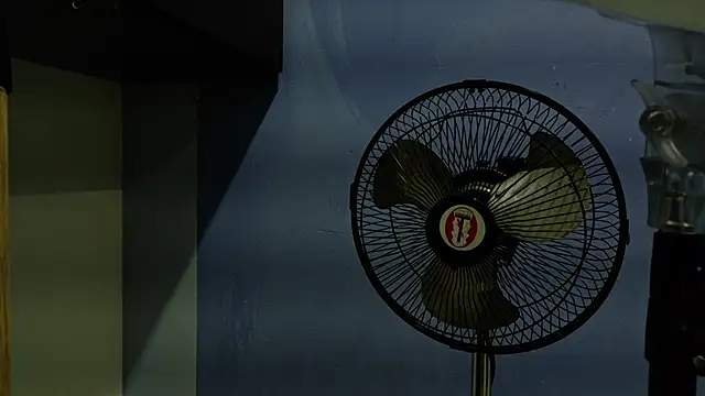 yvi taylor online show from 13, 4, 2026