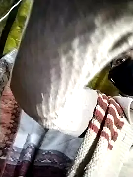 Ahilyalodhi online show from 12, 1, 2026