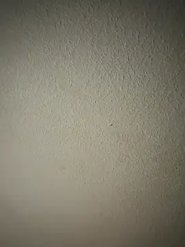 zumma00 online show from 17, 1, 2026