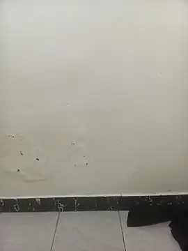 Snapshot of PatriciaVen chatting on 3, 2, 2026 PatriciaVen online show from 3, 2, 2026