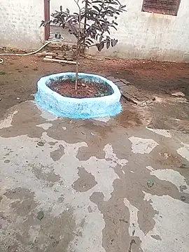 CUTE khusabi online show from 18, 1, 2026