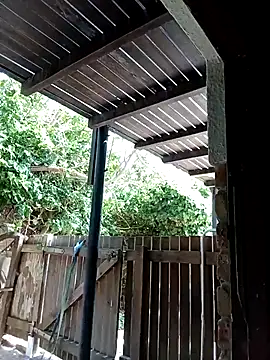 dicklife3485 online show from 12, 2, 2026