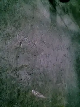 Snapshot of Diana-02 chatting on 15, 2, 2026 Diana-02 online show from 15, 2, 2026