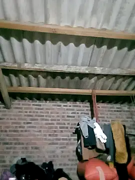 Snapshot of Diana-02 chatting on 28, 2, 2026 Diana-02 online show from 28, 2, 2026