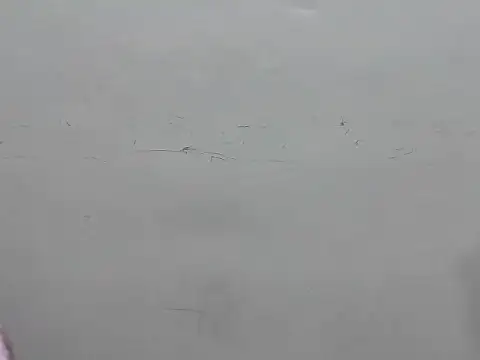 GaggingGirl  online show from 27, 3, 2026