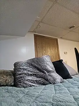 DingDongWilly online show from 16, 1, 2026