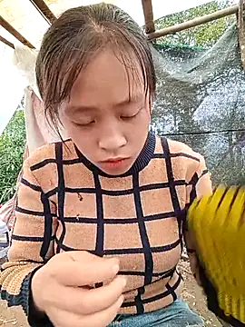 Hari-saka online show from 24, 2, 2026