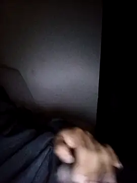 Snapshot of CorrectMusic2 chatting on 11, 2, 2026 CorrectMusic2 online show from 11, 2, 2026