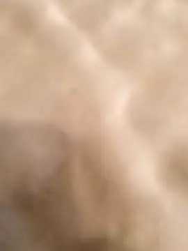 testmailx75 online show from 23, 2, 2026