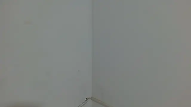 Snapshot of princess1609 chatting on 4, 3, 2026 princess1609 online show from 4, 3, 2026