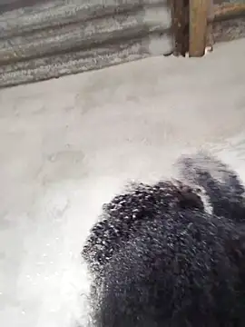 vaniyna online show from 22, 2, 2026